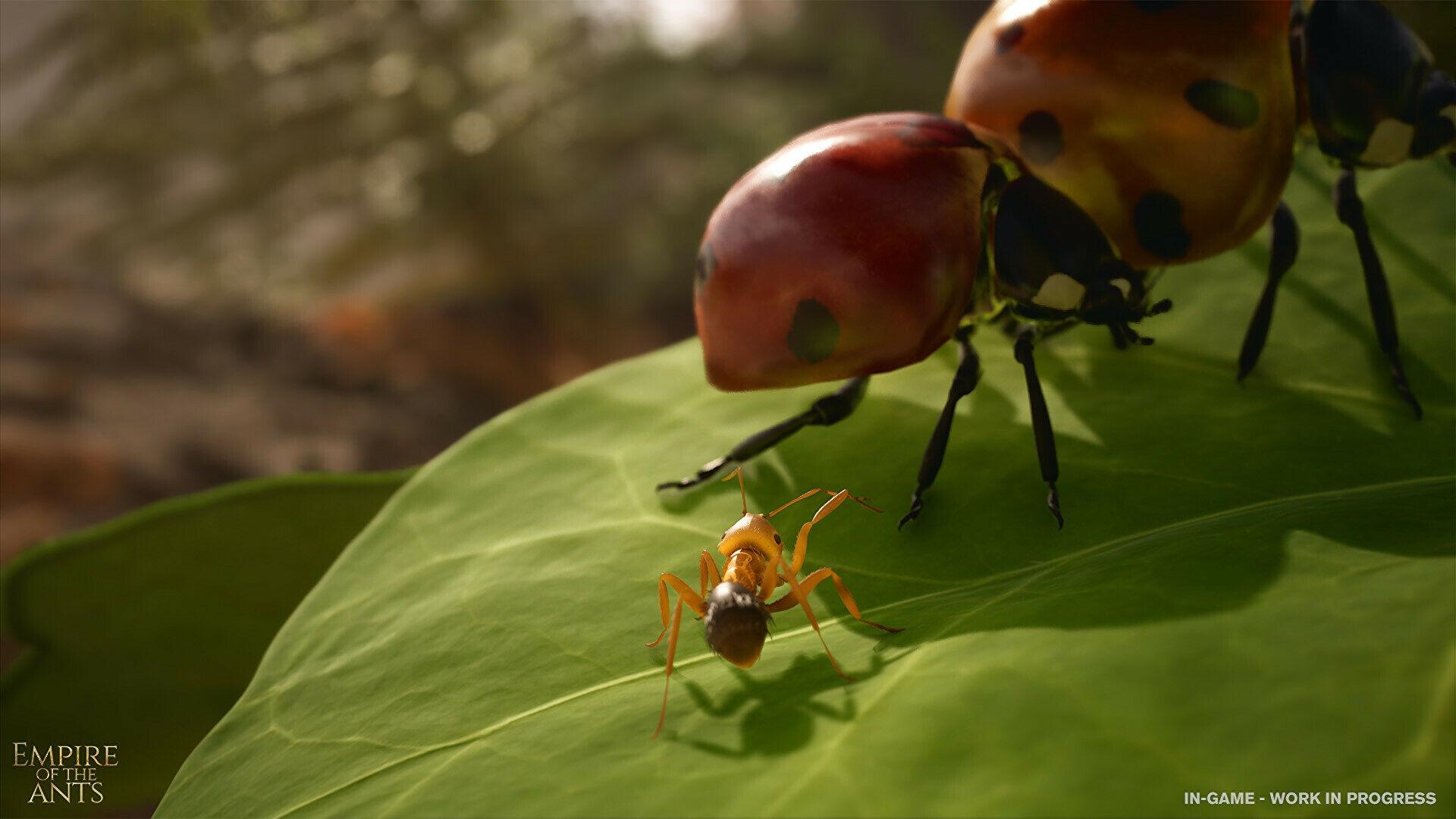 Анонсирована фотореалистичная стратегия в реальном времени о муравьях.  Empire of the Ants выйдет на ПК и консолях