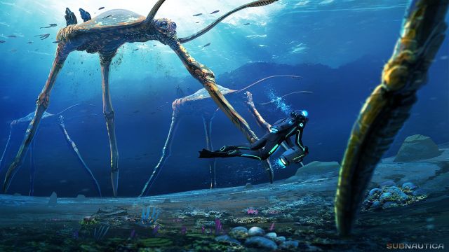 Редкий риф в subnautica