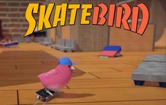 Постер SkateBIRD