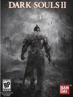 Постер Dark Souls 2