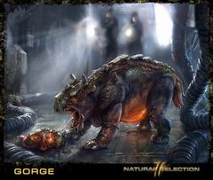 Постер Natural Selection 2