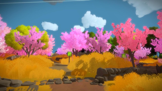 The witness загадка с цветами