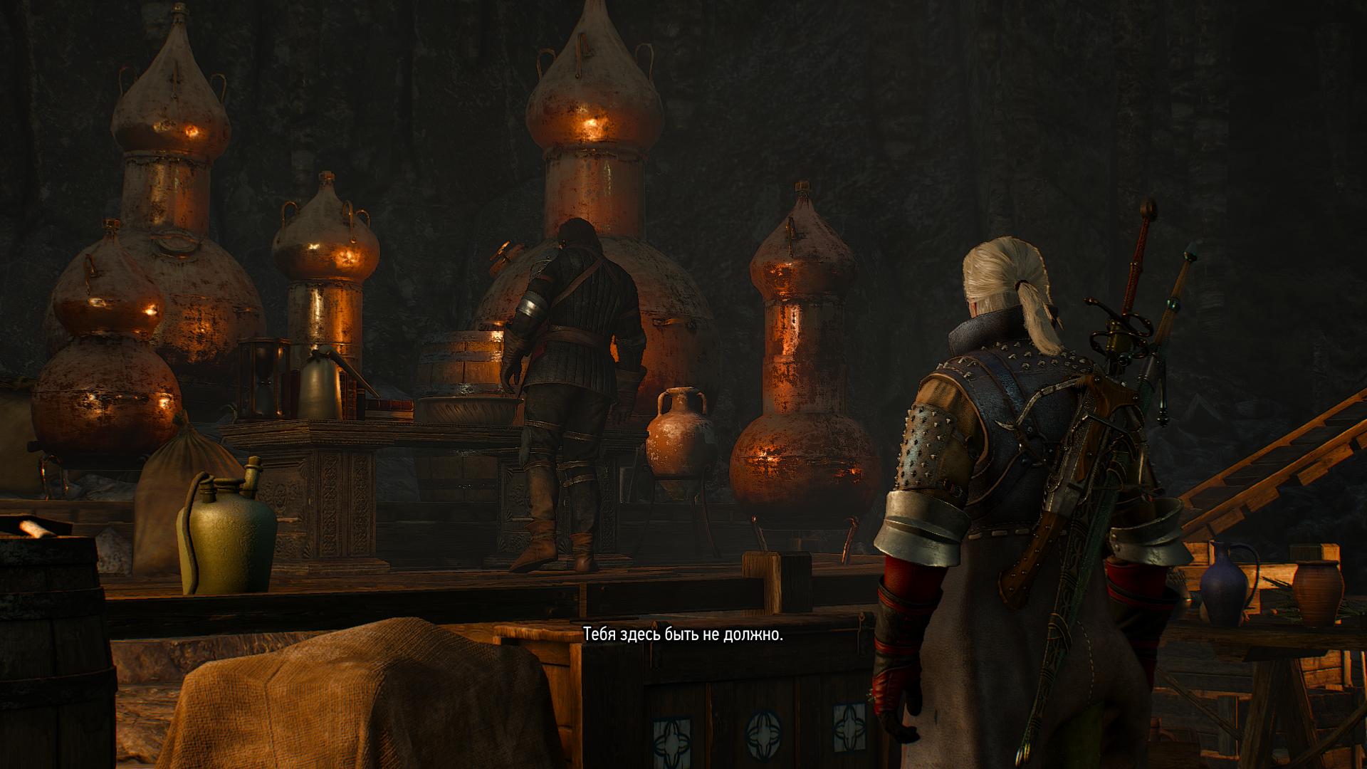 The Witcher 3: Wild Hunt — Hearts of Stone: отдых в провинции