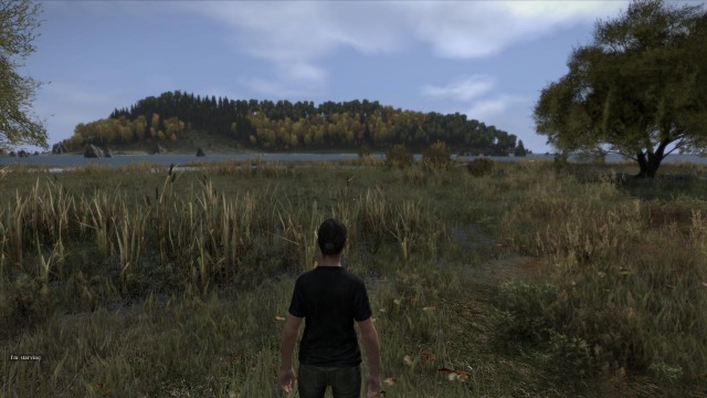 Dayz статуя в лесу