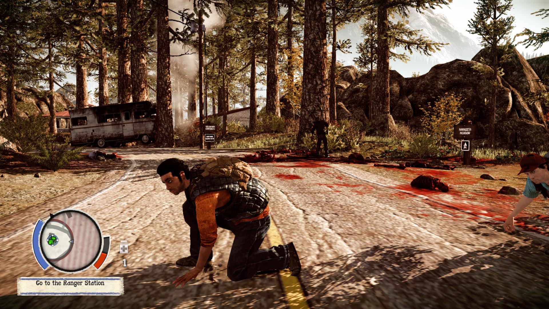 State of decay что steam фото 38
