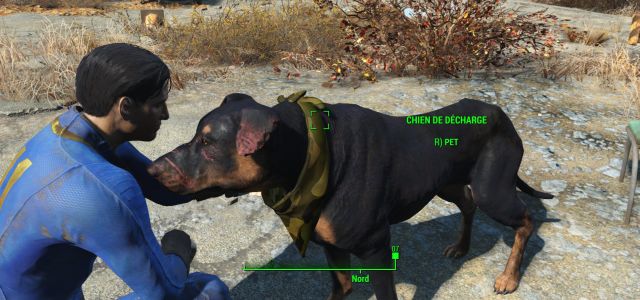 Fallout 4 приручить собаку