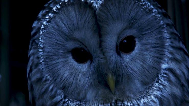 CCCibQD9nZRB8LQmKHQn4ssA5U6quBnqZhs27BZs