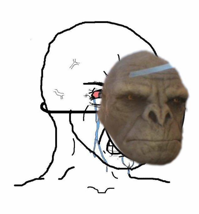 RTajLd9K2EjstN3W5mvwg0HQmQ3NlF8TZdAH0bCe