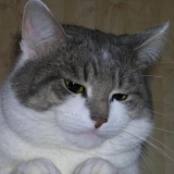 Андрей Колчин