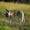 1372151@vkontakte