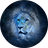 donnightman