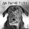 Aleksei_TFS