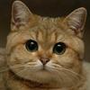 105019967908537645634@google
