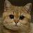 105019967908537645634@google