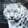 285992248@vkontakte