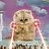 200499052@vkontakte