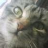 117612192257275529912@google