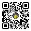 112790465135600953153@google