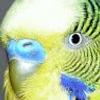 112372302760648881653@google