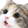 108139809803980278207@google