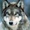 357075236@vkontakte