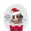 306650196@vkontakte