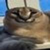 320175140@vkontakte