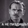78153206@vkontakte
