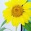 377875967@vkontakte