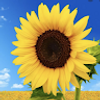 105938750143020856131@google