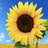 105938750143020856131@google