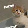 117043266886342426593@google