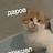 117043266886342426593@google