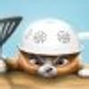 18666201@vkontakte