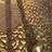 16799742@vkontakte