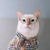 104677557113511312116@google