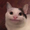 104686860581887649784@google