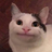 104686860581887649784@google