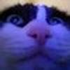 315070530@vkontakte