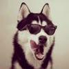 109862454607441760678@google
