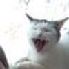 26791923@vkontakte