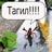 109217082946718781053@google