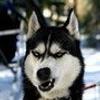 11906888623029878914@mailru