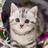113313876802799343358@google