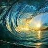 110979786275297971674@google