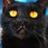 193307514@vkontakte