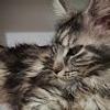 108162925335703450042@google