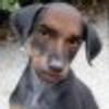 278506541@vkontakte