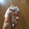 466348465@vkontakte