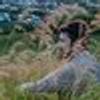 5191564@vkontakte